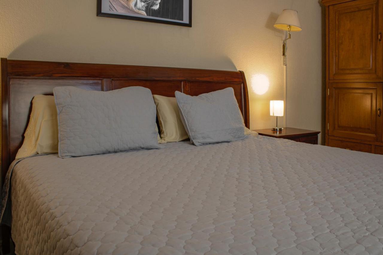 Hotel Gran Domo 레온 외부 사진